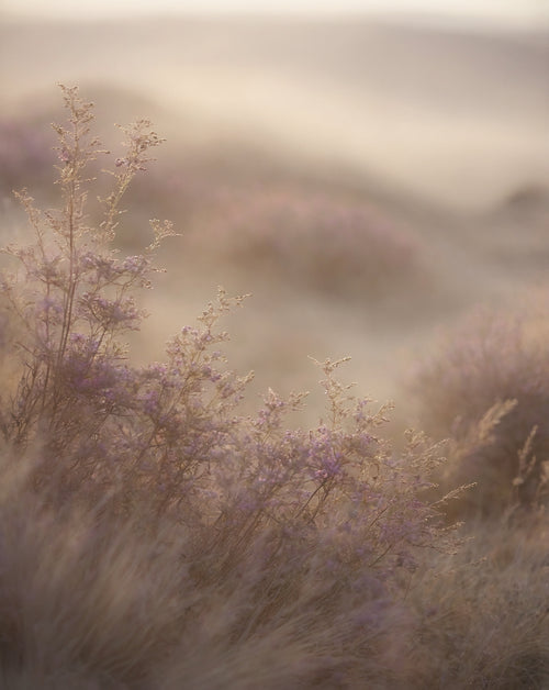 No. 180 | Inspired by Mojave Ghost | Tester 3 ml